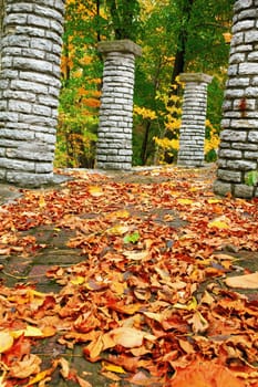Fall leaves strewn upon a brick walkway