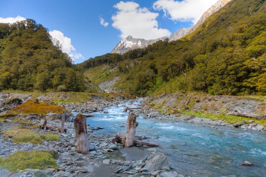 The upper Wilkin river valley on the south island of New Zealand