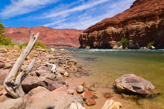 Image of the Colorado river from the banks of Lees Ferry