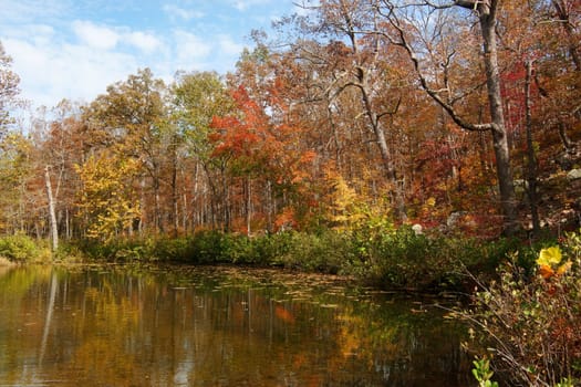 beautiful scene of missouri in autumn or fall