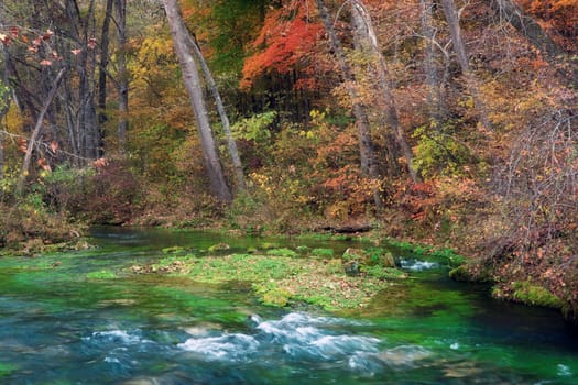beautiful scene of missouri in autumn or fall