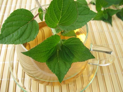 Tea with honeydew melon sage