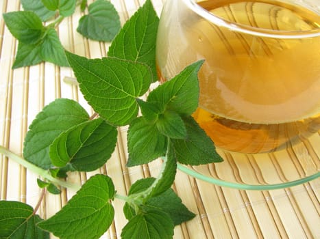 Tea with honeydew melon sage