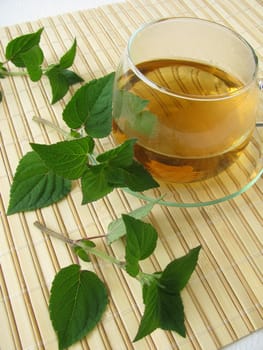 Tea with honeydew melon sage