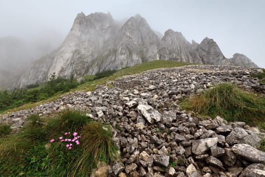 a mountain slope and a background fog, Piatra Craiului mountains, Romania