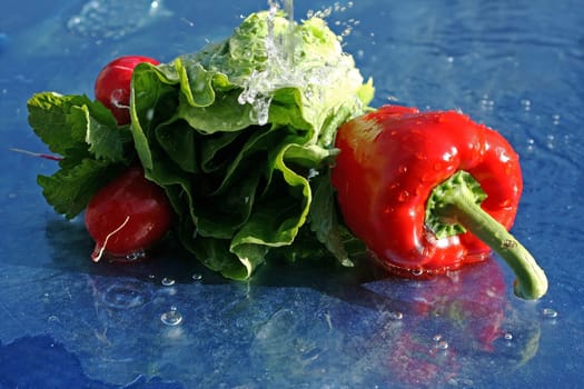 Crisp fresh vegetables and salad