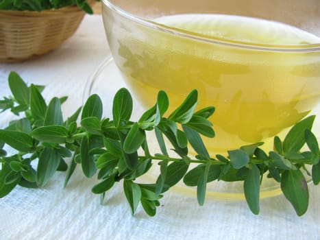 Tea with St. John's wort