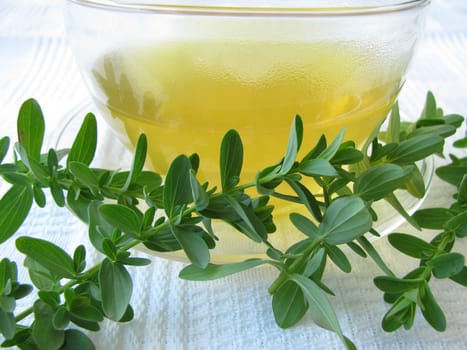 Tea with St. John's wort