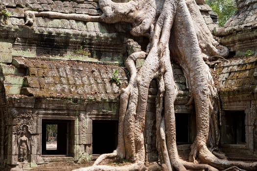 Ta Phrom Temple,a temple complex in Angkor in Cambodia