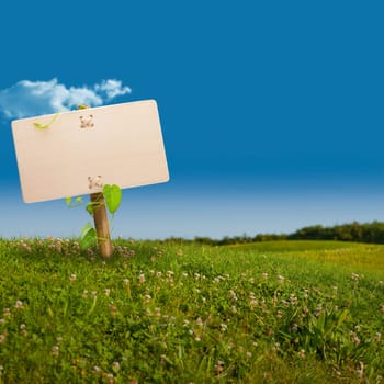 wooden sign on the left side of a green land with a blue sky, with one cloud, image is square