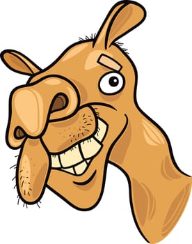 cartoon illustration of dromedary camel