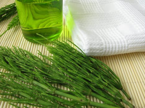 Tincture with field horsetail