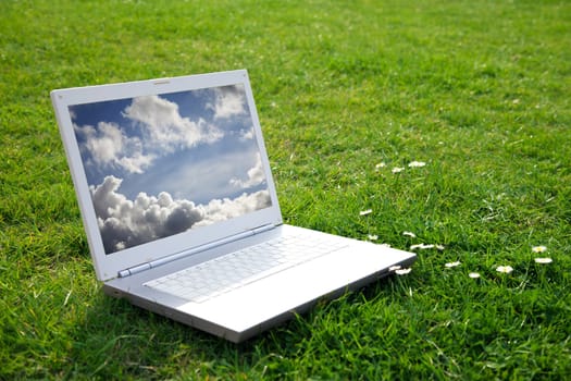 New white laptop in park