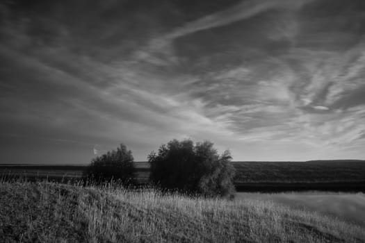 two trees on a hill and a sky with clouds
