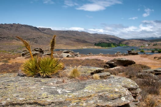 Butchers Gully Neuseeland