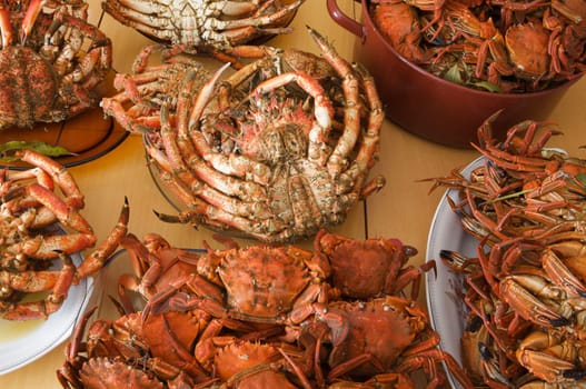 Many plates of seafood on the table