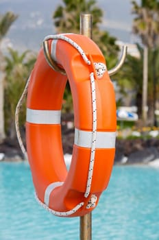 Lifebuoy in a pretty swimming pool with the blue water