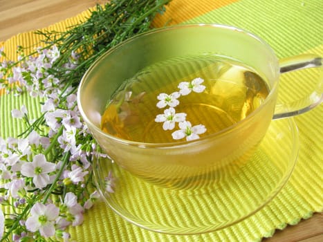 Wild herb tea with meadowfoam