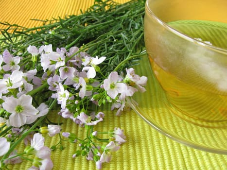 Wild herb tea with meadowfoam