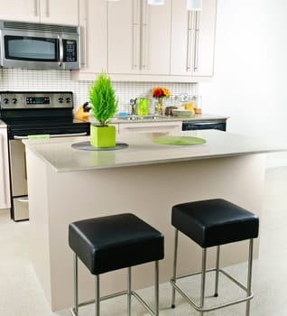 Modern kitchen interior with island and natural stone countertop