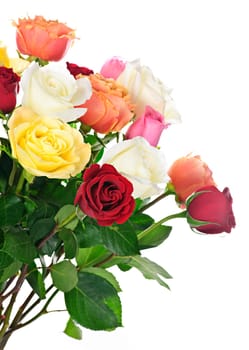 Bouquet of assorted multicolored  roses isolated on white background