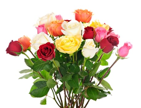 Bouquet of assorted multicolored  roses isolated on white background