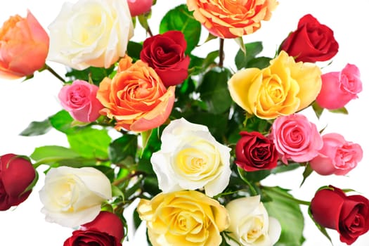 Bouquet of assorted multicolored roses from above on white background