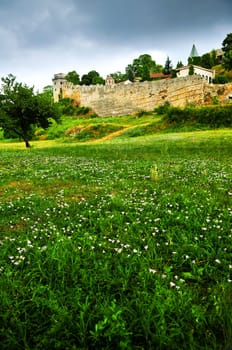 Kalemegdan fortress in Belgrade with field of wildflowers