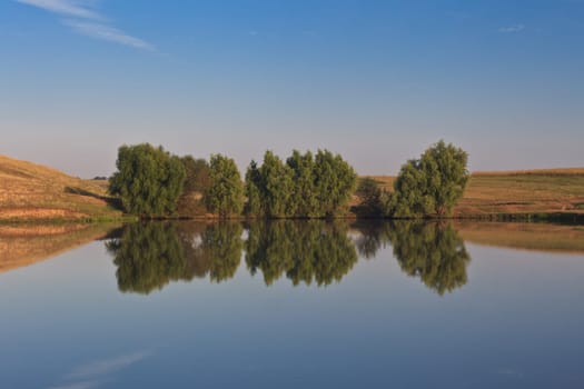 reflection of trees on a blue lake