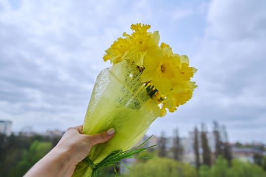 Bouquet of yellow daffodils in woman's hand against sky in clouds. Spring, springtime, beauty of nature, season, seasonality concept