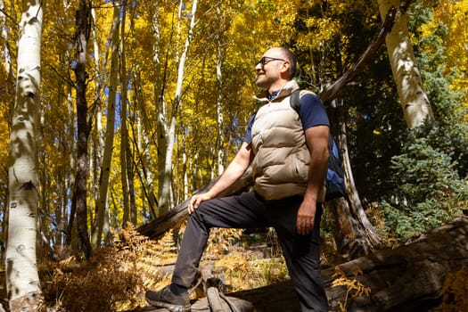 40 yo Man Stands On Fallen Tree And Looks Away In Autumn Forest, Nature, Carries Backpack . Fall Leaves Season. Horizontal Plane. Active Lifestyle. Male Trekking or Hiking. Copy Space
