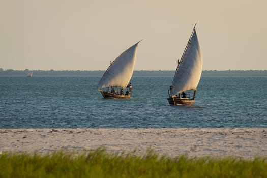 Dhow boats sails in the ocean at sunset, summer concept, Zanzibar in Tanzania.