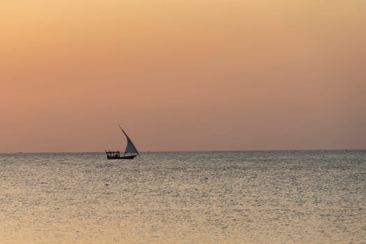 Dhow boat sails in the ocean at sunset, summer concept, Zanzibar in Tanzania.