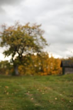 Autumn banner natural blurred background. farmland, meadows and trees in autumn with golden brown leaves on the trees. scenic image of picturesque rural nature in countryside in autumn.