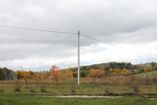 farmland, meadows and trees in autumn with golden brown leaves on the trees. scenic image of picturesque rural nature in countryside in autumn.