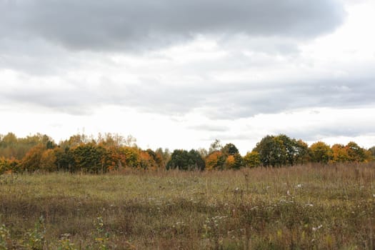 farmland, meadows and trees in autumn with golden brown leaves on the trees. scenic image of picturesque rural nature in countryside in autumn.