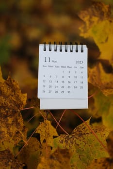 October calendar. Place for text. Maple leaves on the background. Fall vibes. Cozy autumn style