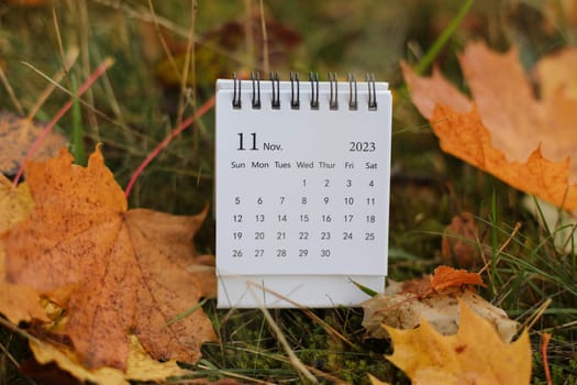 November 2023 calendar. Place for text. Maple leaves on the background. Fall vibes. Cozy autumn style