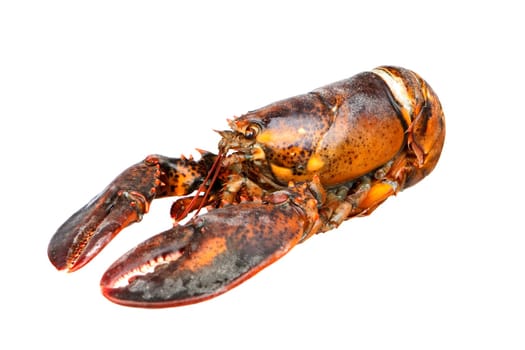 Nice piece of lobster isolated on white background