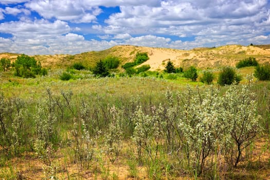 Landscape of Spirit Sands dunes in Spruce Woods Provincial Park, Manitoba, Canada