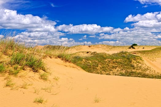 Landscape of Spirit Sands dunes in Spruce Woods Provincial Park, Manitoba, Canada