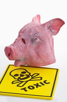 Swine flu