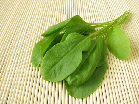 A bunch of sorrel