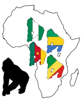 Africa Gorilla