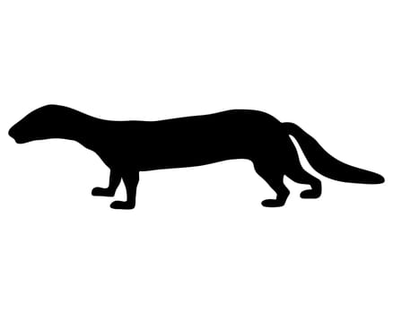 Polecat Silhouette
