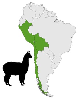 Alpaca Distribution