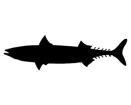 Mackerel Silhouette