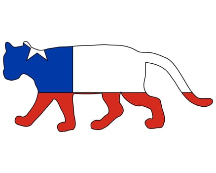 Puma Chile