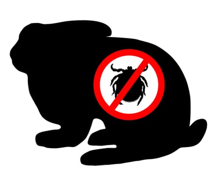 Rabbit tick prohibited