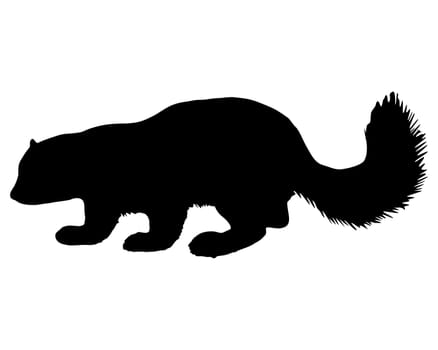 Sable Silhouette